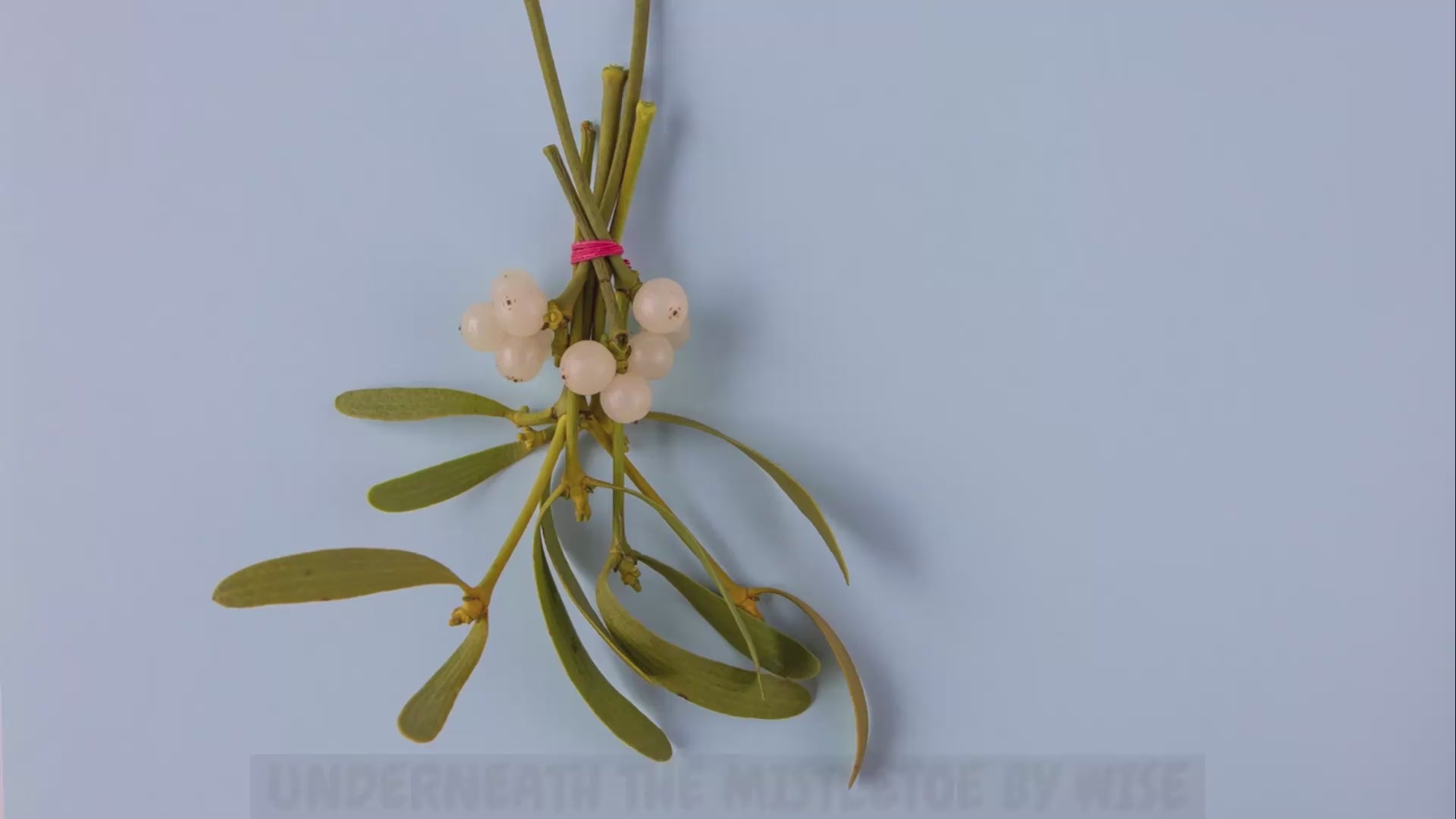 UNDERNEATH THE MISTLETOE MP4 MUSIC VIDEO DOWNLOAD